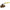 Apollo Manual 2-Way Ball Valve, Npt, Bronze (8010301)