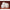 Bel-Art Jerrican, HDPE, 5 L, Screw-On Cap, White (H10935-0000)