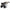 Dewalt Gaspressurewasher, 389Cc, H:28