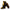 Fire-Dex Shoe-Fit Firefighting Boots, 13M, Steel, Pr (FDXR100-13)