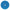 Norton Fiber Disc, 9-1/8