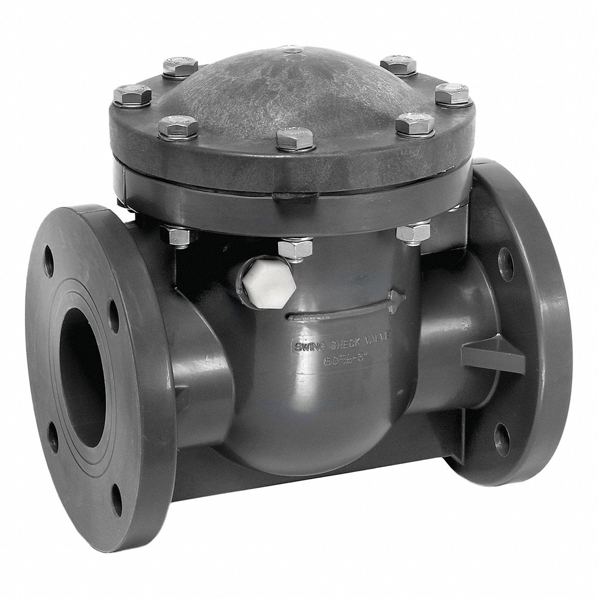Ipex USA LLC Swing Check Valve 10.25 in Overall L (SCOV110)