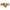 Watts Dual Check Valve w Port Bronze 1/2 FNPT (9D-M3-1/2