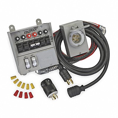 Manual Transfer Switch 60A 125/250V