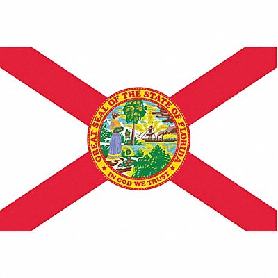 D3761 Florida State Flag 3x5 Ft