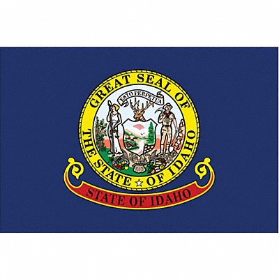 D3761 Idaho State Flag 3x5 Ft
