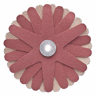 Abrasive Star AO 3-1/2 in. Red 4250 rpm