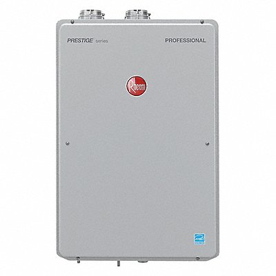 Gas Tankless Water Heater 9-3/4 D (RTGH-95DVLN-2)