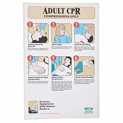 First Aid Poster 17 x 11In